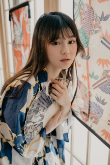 杨门女将穆桂英挂帅